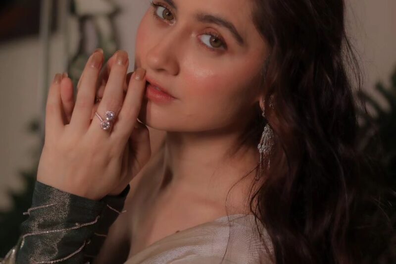 Who is Sanjeeda Shaikh? Age, Career, Net Worth, Bio/Wiki 2024